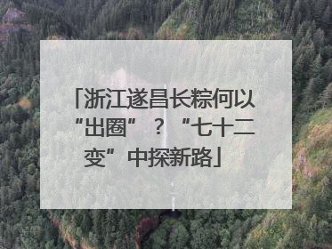 浙江遂昌长粽何以“出圈”？“七十二变”中探新路