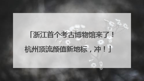 浙江首个考古博物馆来了！杭州顶流颜值新地标，冲！