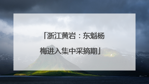 浙江黄岩：东魁杨梅进入集中采摘期