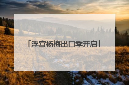 浮宫杨梅出口季开启