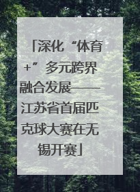 深化“体育+”多元跨界融合发展——江苏省首届匹克球大赛在无锡开赛