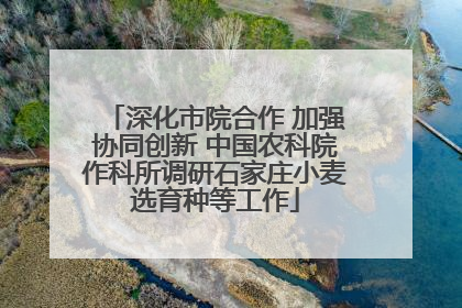 深化市院合作 加强协同创新 中国农科院作科所调研石家庄小麦选育种等工作