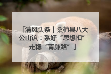 清风头条｜桑植县八大公山镇：系好“思想扣” 走稳“青廉路”