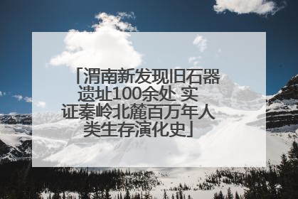 渭南新发现旧石器遗址100余处 实证秦岭北麓百万年人类生存演化史