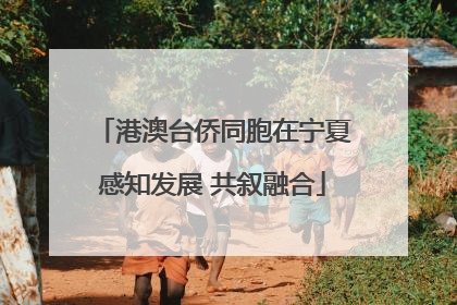 港澳台侨同胞在宁夏感知发展 共叙融合