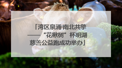 湾区泉涌·南北共擎——“花楸树”杯明湖慈善公益跑成功举办