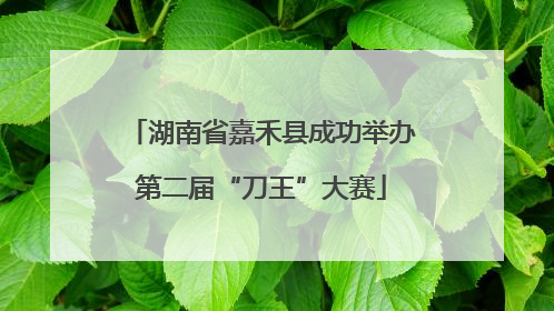 湖南省嘉禾县成功举办第二届“刀王”大赛