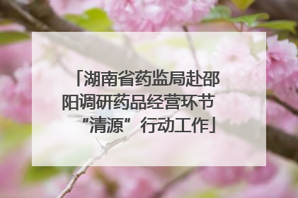 湖南省药监局赴邵阳调研药品经营环节“清源”行动工作