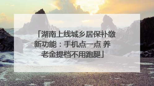 湖南上线城乡居保补缴新功能：手机点一点 养老金提档不用跑腿