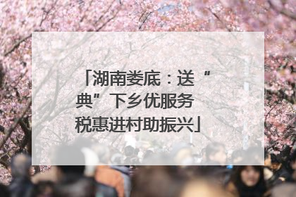 湖南娄底：送“典”下乡优服务 税惠进村助振兴
