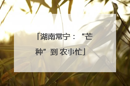 湖南常宁：“芒种”到 农事忙