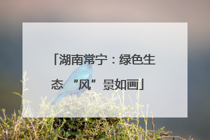 湖南常宁：绿色生态 “风”景如画
