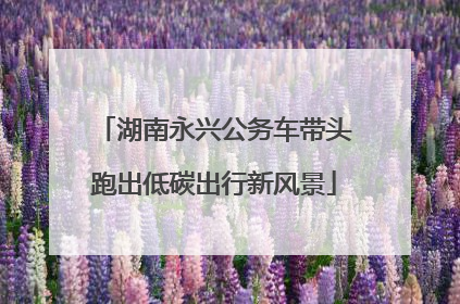 湖南永兴公务车带头跑出低碳出行新风景