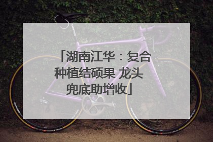 湖南江华：复合种植结硕果 龙头兜底助增收