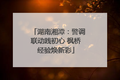 湖南湘潭：警调联动践初心 枫桥经验焕新彩