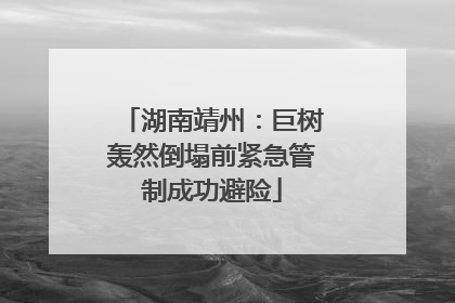 湖南靖州：巨树轰然倒塌前紧急管制成功避险