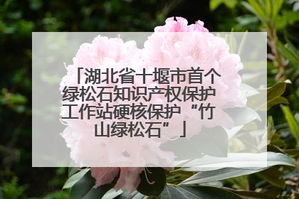 湖北省十堰市首个绿松石知识产权保护工作站硬核保护“竹山绿松石”