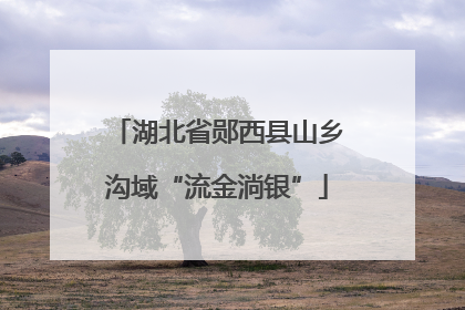 湖北省郧西县山乡沟域“流金淌银”