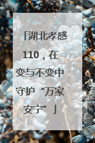湖北孝感110，在变与不变中守护“万家安宁”