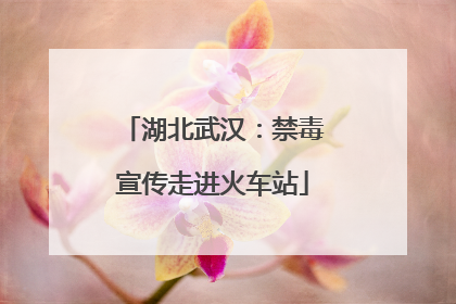 湖北武汉：禁毒宣传走进火车站