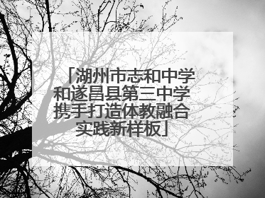 湖州市志和中学和遂昌县第三中学携手打造体教融合实践新样板