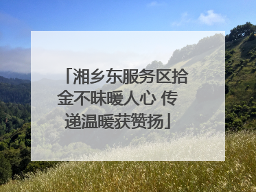 湘乡东服务区拾金不昧暖人心 传递温暖获赞扬