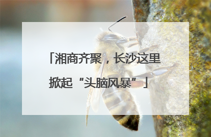 湘商齐聚，长沙这里掀起“头脑风暴”