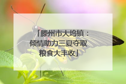 滕州市大坞镇：倾情助力三夏夺取粮食大丰收