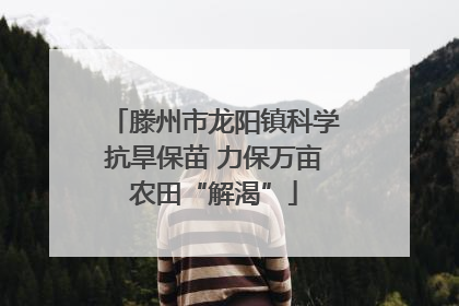 滕州市龙阳镇科学抗旱保苗 力保万亩农田“解渴”