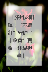滕州龙阳镇：“志愿红”守护“丰收黄”夏收一线显担当