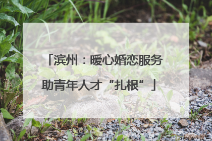 滨州：暖心婚恋服务助青年人才“扎根”