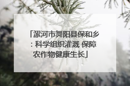 漯河市舞阳县保和乡：科学组织灌溉 保障农作物健康生长