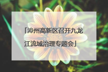 漳州高新区召开九龙江流域治理专题会