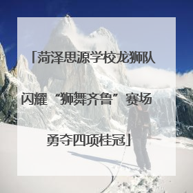 菏泽思源学校龙狮队闪耀“狮舞齐鲁”赛场 勇夺四项桂冠