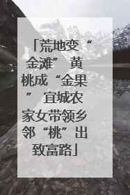 荒地变“金滩” 黄桃成“金果” 宜城农家女带领乡邻“桃”出致富路