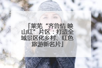 莱芜“齐鲁情 映山红”片区：打造全域景区化乡村、红色旅游新名片