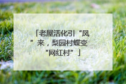 老屋活化引“凤”来，梨园村蝶变“网红村”