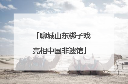 聊城山东梆子戏亮相中国非遗馆