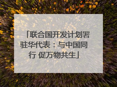 联合国开发计划署驻华代表：与中国同行 促万物共生