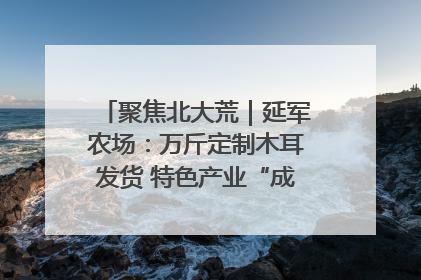 聚焦北大荒｜延军农场：万斤定制木耳发货 特色产业“成绩单”亮眼