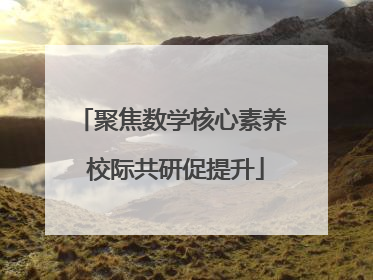 聚焦数学核心素养 校际共研促提升