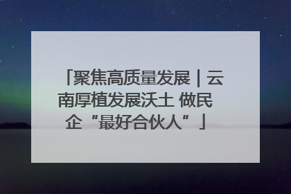 聚焦高质量发展｜云南厚植发展沃土 做民企“最好合伙人”