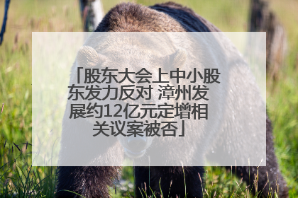 股东大会上中小股东发力反对 漳州发展约12亿元定增相关议案被否