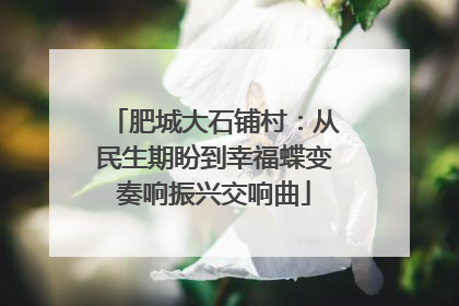 肥城大石铺村：从民生期盼到幸福蝶变奏响振兴交响曲