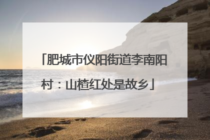 肥城市仪阳街道李南阳村：山楂红处是故乡