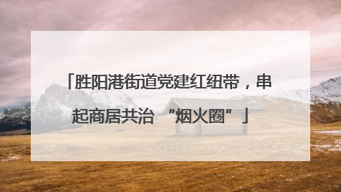 胜阳港街道党建红纽带，串起商居共治 “烟火圈”