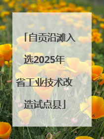 自贡沿滩入选2025年省工业技术改造试点县