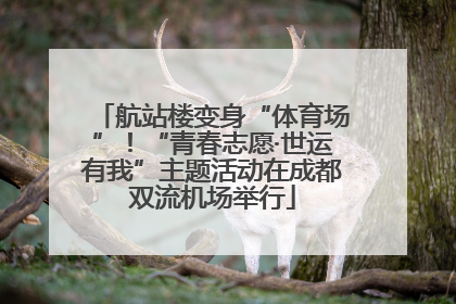航站楼变身“体育场”！“青春志愿·世运有我”主题活动在成都双流机场举行