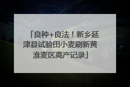 良种+良法！新乡延津县试验田小麦刷新黄淮麦区高产记录