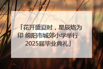 花开盛夏时，星辰烙为印 绵阳市城郊小学举行2025届毕业典礼